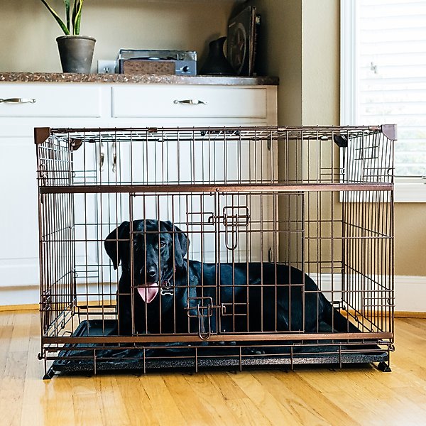 Lucky Dog DWELL Series Dog Crate