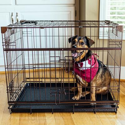 Show full view: Lucky Dog DWELL Series Dog Crate, Bronze, Small slide 9 of 9