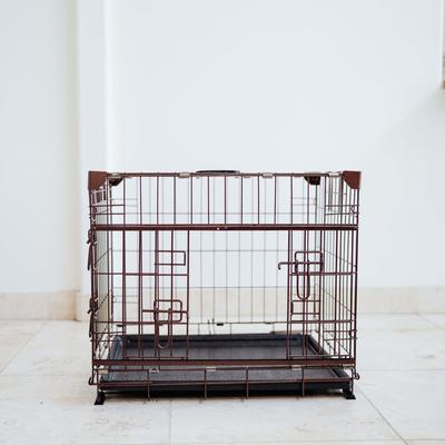 Show full view: Lucky Dog DWELL Series Dog Crate, Bronze, X-Small slide 9 of 9