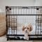 Show in main carousel: Lucky Dog DWELL Series Dog Crate, Bronze, X-Small slide 8 of 9