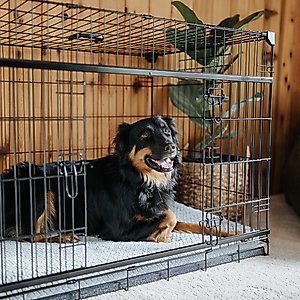 Lucky Dog Sliding Double Door Wire Dog Crate, 42 inch