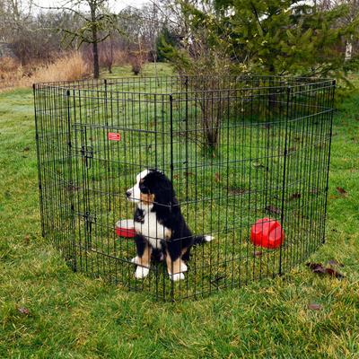 Show full view: Lucky Dog Wire Dog Exercise Pen with Step-Thru Door, Medium slide 8 of 10