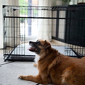 Lucky Dog Sliding Double Door Wire Dog Crate, 42 inch