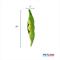 Show in main carousel: Petlou Food Pea Pod Squeaky Plush Dog Toy, 29-in slide 3 of 5