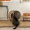Show in main carousel: THE LICKER STORE Socket Dome Bohemian Handwoven Rattan Elevated Dog & Cat Bed, Kubu Gray, 19.5 x 17-in slide 9 of 9