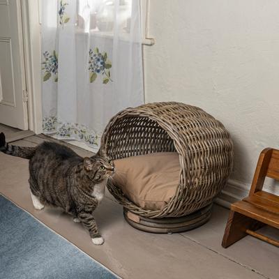 Show full view: THE LICKER STORE Socket Dome Bohemian Handwoven Rattan Elevated Dog & Cat Bed, Kubu Gray, 19.5 x 17-in slide 6 of 9