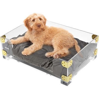 THE LICKER STORE THE LICKER STORE Haines Modern Lucite Velvet Bolster Elevated Dog & Cat Bed, Dark Gray/Clear/Brass Gold, Small/Medium: 21.5 x 15.25-in