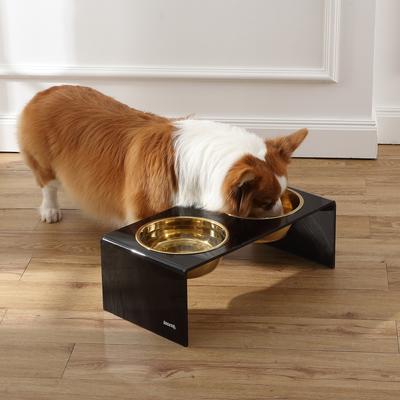 Show full view: THE LICKER STORE Keaton Modern Lucite Stainless Steel Elevated Dog & Cat Bowls, Medium/Large: 7.5-in, 6.8 cup, Black/Gold slide 2 of 8
