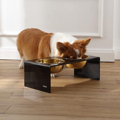 Show full view: THE LICKER STORE Keaton Modern Lucite Stainless Steel Elevated Dog & Cat Bowls, Medium/Large: 7.5-in, 6.8 cup, Black/Gold slide 6 of 8