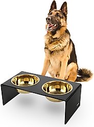 THE LICKER STORE Keaton Modern Lucite Stainless Steel Elevated Dog & Cat Bowls, Medium/Large: 7.5-in, 6.8 cup, Black/Gold