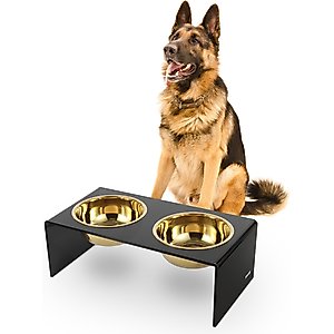 THE LICKER STORE Keaton Modern Lucite Stainless Steel Elevated Dog & Cat Bowls, Medium/Large: 7.5-in, 6.8 cup, Black/Gold