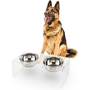 THE LICKER STORE Keaton Modern Lucite Stainless Steel Elevated Dog & Cat Bowls, Medium/Large: 7.5-in, 6.8 cup, Clear/Chrome
