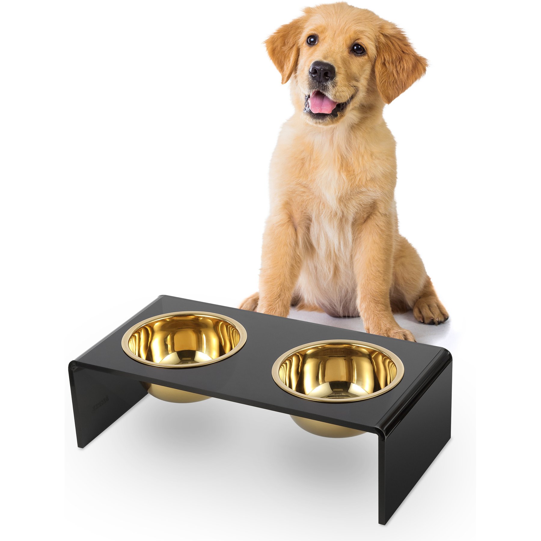 THE LICKER STORE Keaton Modern Lucite Stainless Steel Elevated Dog & Cat Bowls, Small/Medium: 5-in, 2.5 cup, Black/Gold