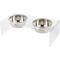 Show in main carousel: THE LICKER STORE Keaton Modern Lucite Stainless Steel Elevated Dog & Cat Bowls, Small/Medium: 5-in, 2.5 cup, Clear/Chrome slide 9 of 9