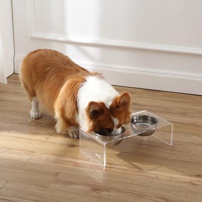 Show full view: THE LICKER STORE Keaton Modern Lucite Stainless Steel Elevated Dog & Cat Bowls, Small/Medium: 5-in, 2.5 cup, Clear/Chrome slide 2 of 9