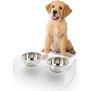 THE LICKER STORE Keaton Modern Lucite Stainless Steel Elevated Dog & Cat Bowls, Small/Medium: 5-in, 2.5 cup, Clear/Chrome