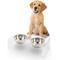 Show in main carousel: THE LICKER STORE Keaton Modern Lucite Stainless Steel Elevated Dog & Cat Bowls, Small/Medium: 5-in, 2.5 cup, Clear/Chrome slide 1 of 9