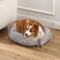 Show in main carousel: THE LICKER STORE Billie Modern Lucite Fluffy Dog & Cat Bed, Small: 24 x 15.75-in & 4-in Stainless Steel Elevated Dog & Cat Bowls, 27-oz, Light Gray/Clear slide 6 of 9