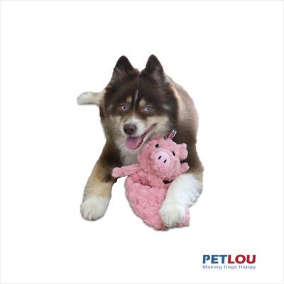 Show full view: Petlou Flattiez Fuzzy Friends Pig Squeaky Plush Dog Toy, 12-in slide 3 of 6