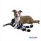 Show in main carousel: Petlou Ripples Zoo Friends Zebra Squeaky Plush Dog Toy, 26-in slide 2 of 5