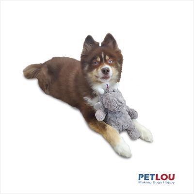 Show full view: Petlou Classic Dragon Squeaky Plush Dog Toy, 9-in slide 2 of 5