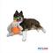 Show in main carousel: Petlou Classic Carrot Rabbit Squeaky Plush Dog Toy, 8-in slide 3 of 7