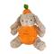 Show in main carousel: Petlou Classic Carrot Rabbit Squeaky Plush Dog Toy, 12-in slide 1 of 6