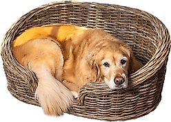 THE LICKER STORE Curvy Classic Handwoven Rattan Elevated Dog & Cat Sofa Bed, Kubu Gray, 33 x 21.25-in