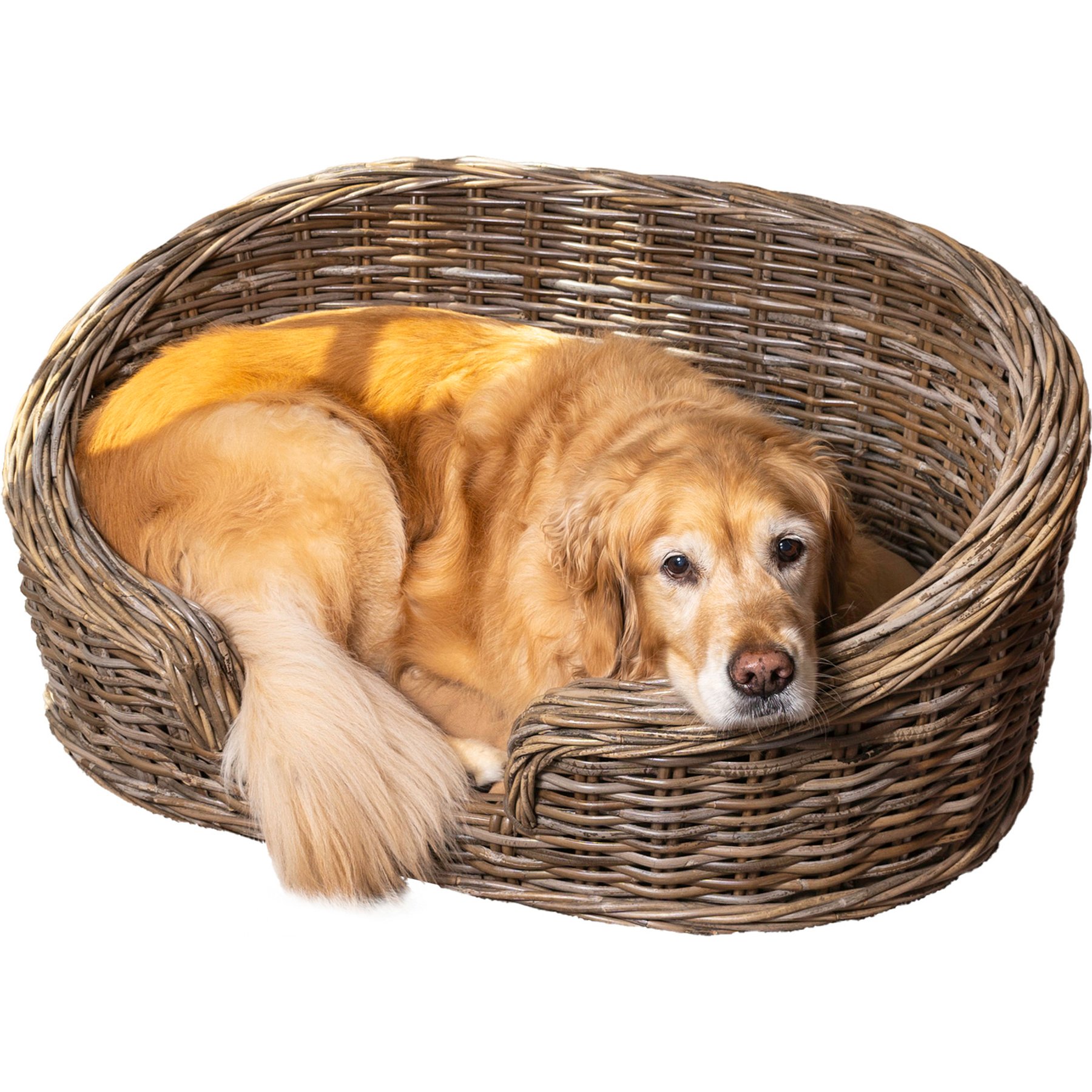 THE LICKER STORE Curvy Classic Handwoven Rattan Elevated Dog & Cat Sofa Bed, Kubu Gray, 33 x 21.25-in