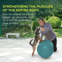 FitPAWS TRAXPeanut Dog Stability Ball, Medium slide 2 of 6