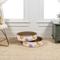 Show in main carousel: THE LICKER STORE Daisy Modern Bowl 18.13-in Cardboard Cat Scratcher with Catnip, White, 2 count slide 9 of 10