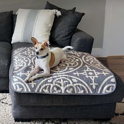 Show full view: Paw Inspired Designer Patterned Print Washable Dog Pee Pads, Medallion, 36 x 36-in, 2 count slide 5 of 8