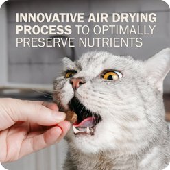 Redbarn Powerfood Chicken High Protein Grain-Free Gently Air Dried Cat Food, 2.5-oz bag slide 2 of 8