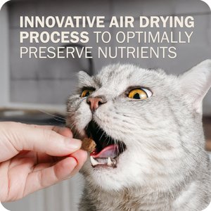 Redbarn Powerfood Chicken High Protein Grain-Free Gently Air Dried Cat Food, 2.5-oz bag