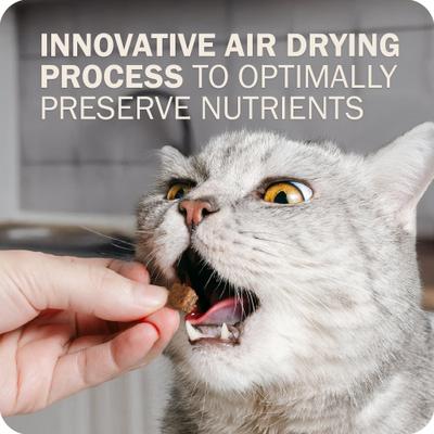 Show full view: Redbarn Powerfood Chicken High Protein Grain-Free Gently Air Dried Cat Food, 2.5-oz bag slide 8 of 11