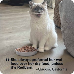 Redbarn Powerfood Chicken High Protein Grain-Free Gently Air Dried Cat Food, 2.5-oz bag