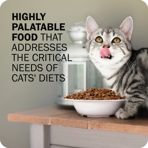 Redbarn Powerfood Chicken High Protein Grain-Free Gently Air Dried Cat Food, 2.5-oz bag