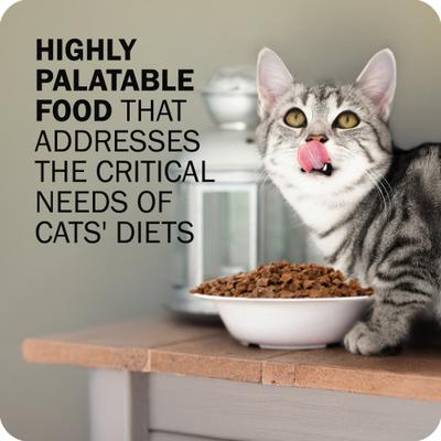 Show full view: Redbarn Powerfood Chicken High Protein Grain-Free Gently Air Dried Cat Food, 32-oz bag slide 3 of 11