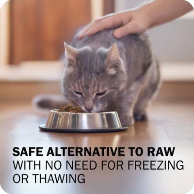 Show full view: Redbarn Powerfood Chicken High Protein Grain-Free Gently Air Dried Cat Food, 32-oz bag slide 9 of 11