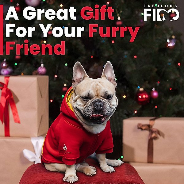 Show full view: Fabulous Fido Cotton Cozy & Comfortable Dog Hoodie with Front Zipper, Red, Large slide 8 of 8