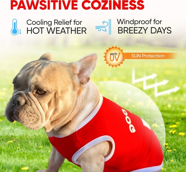 Fabulous Fido Cooling Lightweight Breathable Dog Shirt