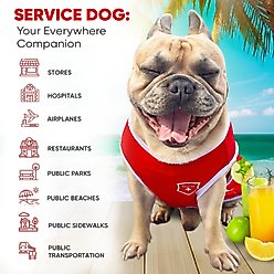 Fabulous Fido Service Breathable Lightweight Cooling Dog Shirt, Red, Large slide 2 of 6