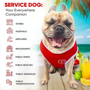 Fabulous Fido Service Breathable Lightweight Cooling Dog Shirt, Red, X-Small