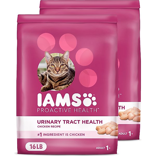 Iams ProActive Health Urinary Tract Health with Chicken Adult Dry Cat Food