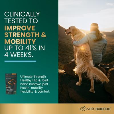 Show full view: VetriScience GlycoFlex Plus Ultimate Strength Healthy Hip & Joint Duck-Flavored Chews with Glucosamine & Chondroitin Supplement for Dogs, 120 count slide 3 of 11