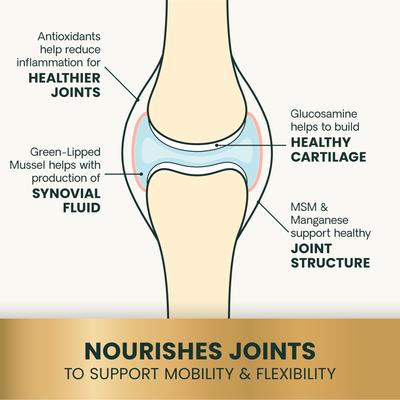 Show full view: VetriScience GlycoFlex Plus Ultimate Strength Healthy Hip & Joint Duck-Flavored Chews with Glucosamine & Chondroitin Supplement for Dogs, 120 count slide 5 of 11