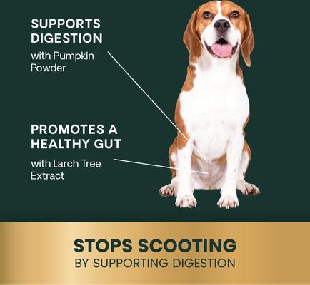 Show full view: VetriScience Express Ease Soft Chews Digestive Supplement for Dogs, 40 count slide 5 of 11
