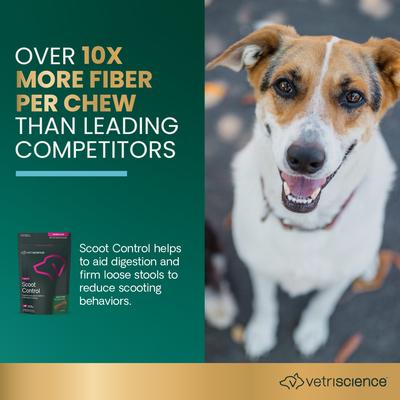 Show full view: VetriScience Express Ease Soft Chews Digestive Supplement for Dogs, 40 count slide 3 of 11