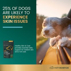 VetriScience Derma Strength Soft Chews Skin & Coat Supplement for Dogs, 70 count slide 2 of 8