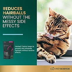 VetriScience Hairball Chicken Liver Flavored Soft Chews Hairball Control Supplement for Cats, 60 count slide 2 of 8